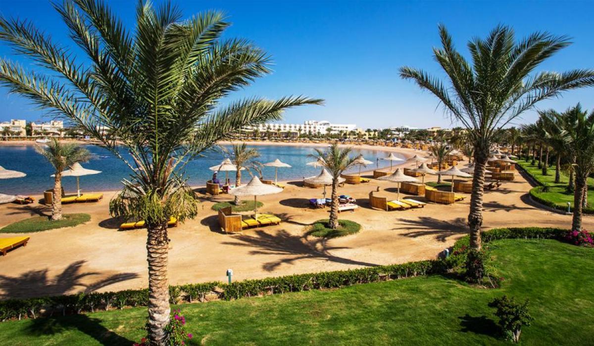 Desert Rose Resort